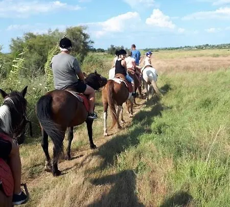 Emeraude Dans Villa *